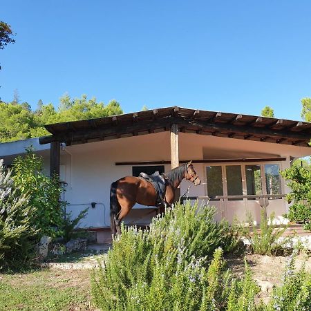 Villa Badde Rosa 도르갈리 외부 사진