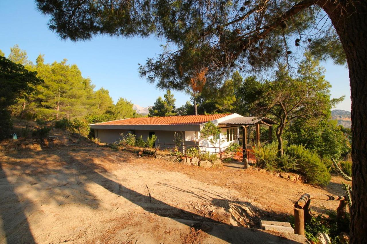 Villa Badde Rosa 도르갈리 외부 사진